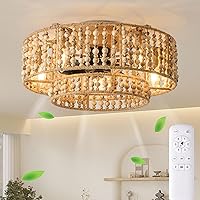 Boho Low Profile Ceiling Fans with Lights and Remote, 20 Inch Beaded Flush Mount Ceiling Fans, 6-Speed Reversible Silent Reversible DC Motor E12 Metal Bulb Base for Bedroom Dining Room
