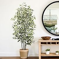 6 FT Artificial Ficus Tree 600 Leaves Faux Plants Indoor Tall with Black Pot Large Fake Tree for Home Office Living Room Decor