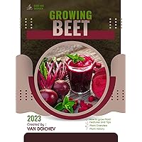Beet: Guide and overview
