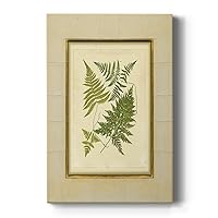 Renditions Gallery Canvas Nature Wall Art Prints for Home Decor Green Foliage Fern with Crackle Mat Watercolor Abstract Hanging Artwork for Bedroom Office Kitchen - 18