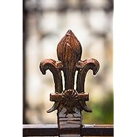NOLA Photography Print (Not Framed) Vertical Picture of Iron Fleur de Lis with Raindrops in New Orleans Louisiana French Quarter Wall Art Southern Decor (30