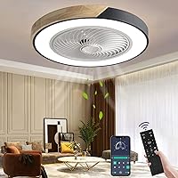 Wildcat Wooden Ceiling Fan with Lighting LED Light, Invisible Fan Ceiling Light, Dimmable with Remote Control, Timer, Quiet Fan Lamp, Ceiling Lamp for Living Room, Bedroom, Children's Room