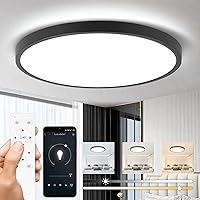 CANMEIJIA Flush Mount LED Ceiling Light Fixture with Remote Control, 24W 12In Bedroom Lights for Ceiling, 2700K-6500K CCT, Stepless Dimming, Night Light Mode, 2520 LM, Black Ultra Thin Ceiling Lamp