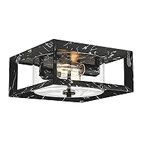 Emliviar Marble Black 2-Light Hallway Light Fixture Ceiling, Flush Mount Light Fixture with Metal Square Frame, Clear Glass Shade, YE277F BK