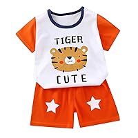 6M-6T Unisex Baby Playwear Set Toddler 2-Piece Pull-On Shorts And Tee Set Cute 3D Annimal/Funny Letter Kid Outfit