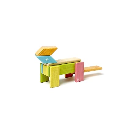 14 Piece Tegu Magnetic Wooden Block Set, Tints