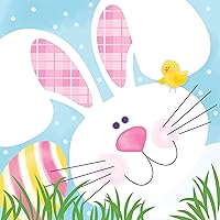 Creative Converting Paper Beverage Napkins, Cottontail Fun, 16-Count