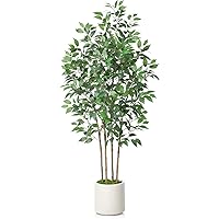Ficus Artificial Tree 6ft Fake Silk Plant for Home Decor Indoor, Faux Floor Tree in White Imitation Ceramic Planter with Green Fake Moss for Home Office Corner Indoor Decor, Set of 1