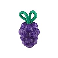 Outward Hound Dental Grapes Dental Chew Toy and Interactive Treat Stuffer Durable Dog Toy Stuffable Dog Toy, Medium, Purple