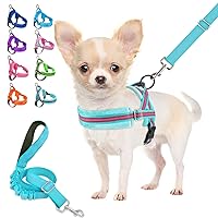 Lukovee Dog Harness and Leash Set, Soft Padded Small Dog Harness, Neck & Chest Adjustable Reflective Vest Puppy Harness with 4ft Lightweight Anti-Twist Dog Leash for Small Dogs (Meduim,Light Blue)