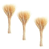 June Fox 300 Stems Dried Wheat Stalks Wheat Sheaves for Decorating Wedding Table Home Kitchen (15.7 Inches)