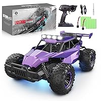 2WD 1:16 Scale Purple Remote Control Car, 20 Km/h High Speed Girls Remote Control Car Monster Vehicle with LED Headlights and Chassis Lights, RC Truck for Girls Boys and Adults