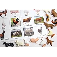 Montessori Animal Match - Miniature Farm Animal Toy Figurines with Matching Cards - 2 Part Cards. Montessori Learning Toy, Language Materials Busy Bag Activity
