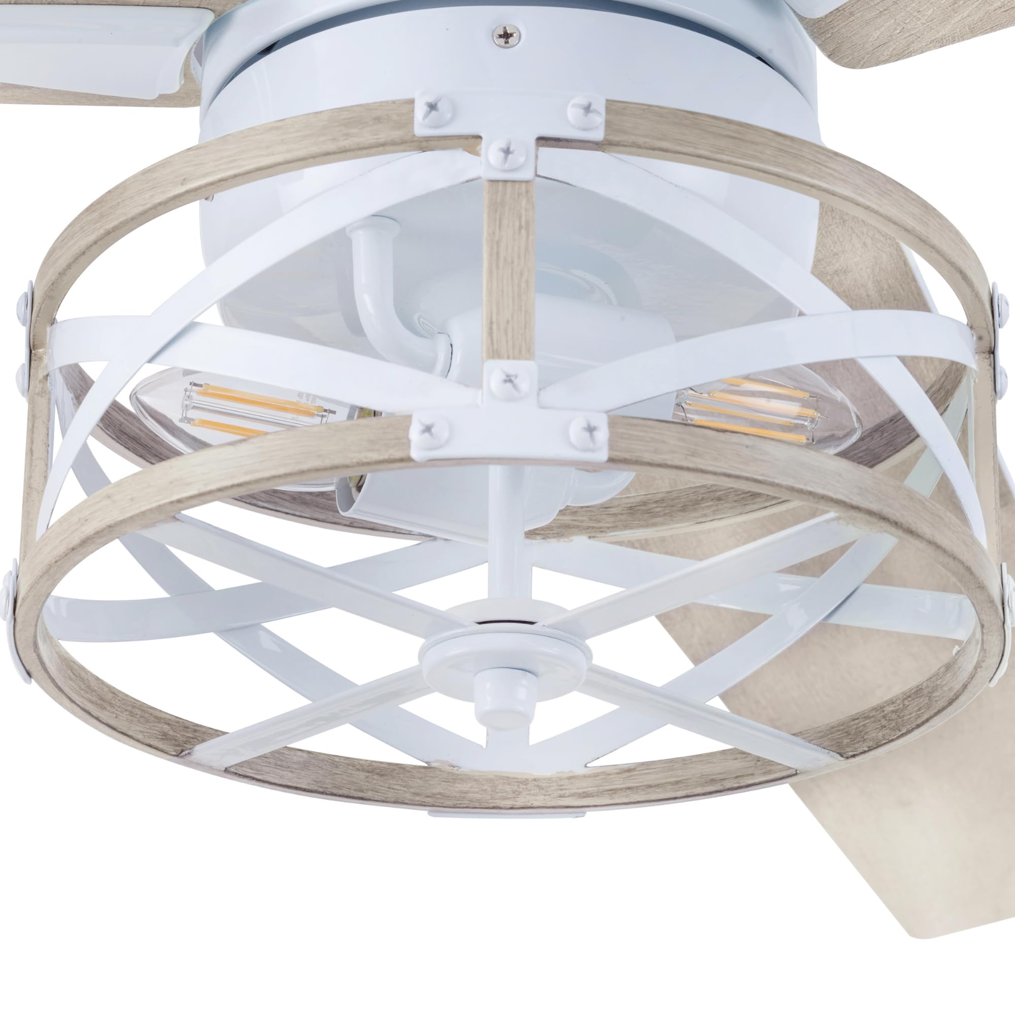 Prominence Home Thedas, 52 Inch Caged Indoor LED Ceiling Fan with Light, Remote, Dual Mounting Options, 3 Modern Dual Finish Blades, Reversible Motor