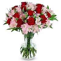 BENCHMARK BOUQUETS – Lovely Roses Bouquet, Prime Delivery, Free Vase, Farm Direct Fresh Flowers, Gift for Anniversary, Birthday, Congratulations, Get Well, Home Décor, Sympathy, Thank You.