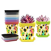 Planters 8-Pack Plant Pots with Pallet Fertile Cactus Nursery Pots Gardening Containers Flower Pots