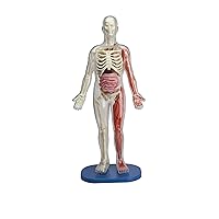 Toys Squishy Human Body with 21 Removable Body Parts with Anatomy Book