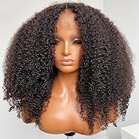 Afro Kinky Curly Brazilian Remy Human Hair 13X4 Lace Front Wigs Pre Plucked Baby Hair 4X4 Lace Closure Wigs Glueless For Black Women 200% Density-14inch 150% 13X4 Lace Front Wig