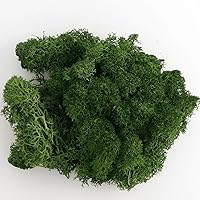 ECYC Ltd 3.52 OZ (100g) Artificial Moss for Crafts, Colored Faux Moss Artificial Decorative Moss for Potted Plants, Floral Project, Wall Decor, Fairy Garden, Centerpieces, DIY Crafts