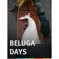 Beluga Days