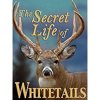 The Secret Life of Whitetails