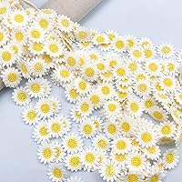 30pcs Colorful Daisy Flowers Embroidered Sew On Applique Floral Lace Patch Milk Fiber Sewing Trims Clothes Wedding Dress Craft DIY (Color G)