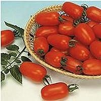 Juliet Tomato Seeds (50 Seed Packet)(Non GMO Organic Vegetable Fruit Garden Seeds) Non-Hybrid, by Home Decorium
