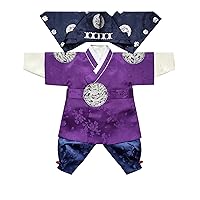 Korean Traditional Clothing Hanbok Boy Baby 100th Days First Birthday Dol Party Celebrations 1-8 Ages Purple BDBH02