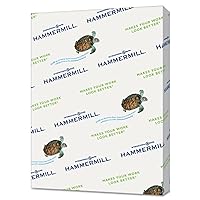 Hammermill Colored Paper, 20 lb Gray Printer Paper, 8.5 x 11-10 Ream (5,000 Sheets) - Made in the USA, Pastel Paper, 102889C
