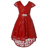 Little Girls Cap Sleeve V Neck Sequin Lace Christmas Wedding Flower Girl Dress