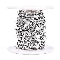 Pandahall 32.8 Feet 304 Stainless Steel Paperclip Chains 10x2.5x0.5mm with Spool for DIY Jewelry Making (Stainless Steel Color)