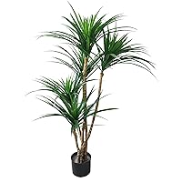 Artificial Tropical Yucana Tree with Rubber Leaves and Natural Trunk, Fake Plant for Indoor-Outdoor Home Décor-51-Inch Tall Topiary by Pure Garden, Green