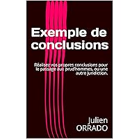 Exemple de conclusions: Réalisez vos propres conclusions pour le passage aux prud’hommes, ou une autre juridiction. (French Edition)