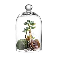 KMwares Clear Glass Display Dome Cloche Bell Jar Tabletop Decorative Case Covered Plants/Food (5.1