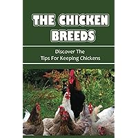 The Chicken Breeds: Discover The Tips For Keeping Chickens