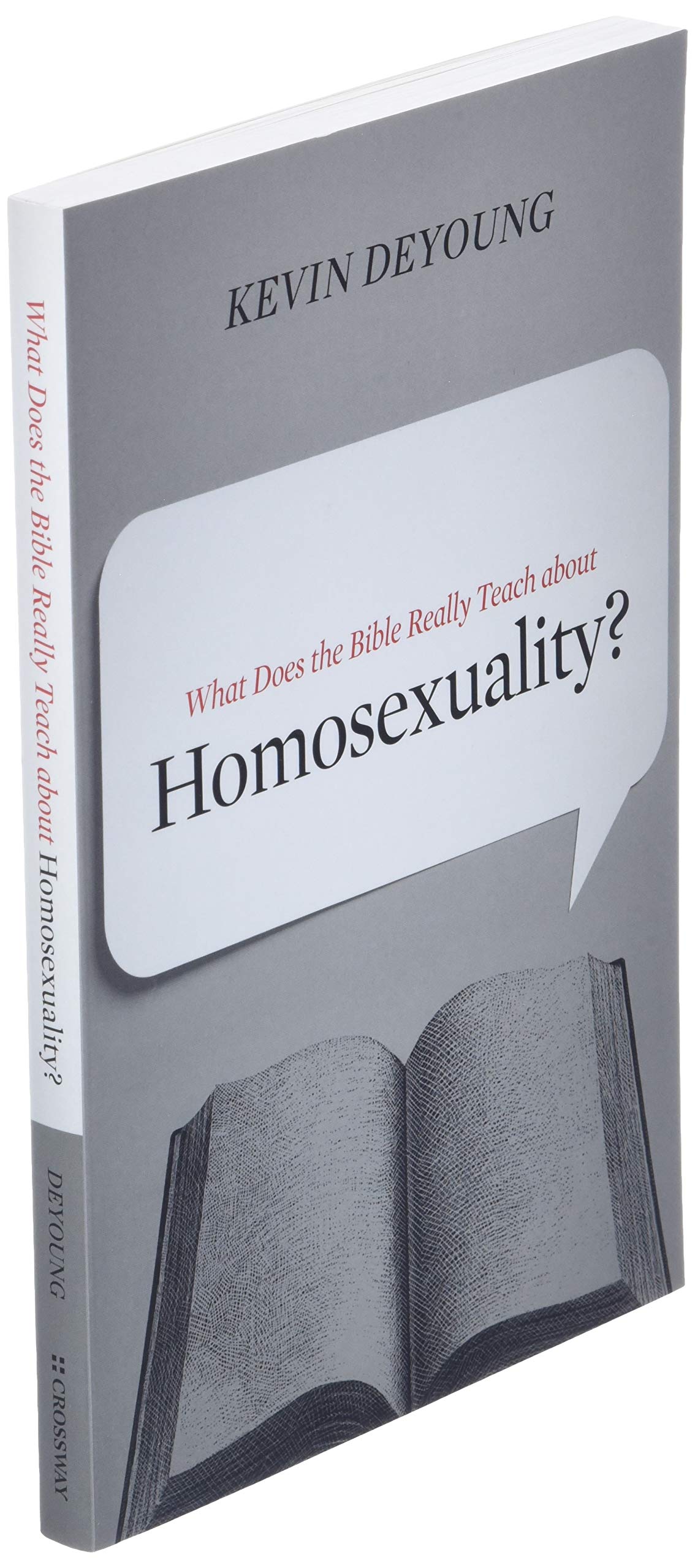 What Does the Bible Really Teach about Homosexuality?