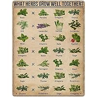 What Herbs Grow Well Together Knowledge Print Poster Metal Tin Signs Popular Science School Garden Farm Hospital Information Table Bar Garage Club Kitchen Home Wall Decoration Gift 8x12 Inches