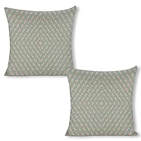 Repeating Penis Pattern Classic Throw Pillow Covers Square Couch Pillow Cases for Bed Sofa Bench Outdoor 18