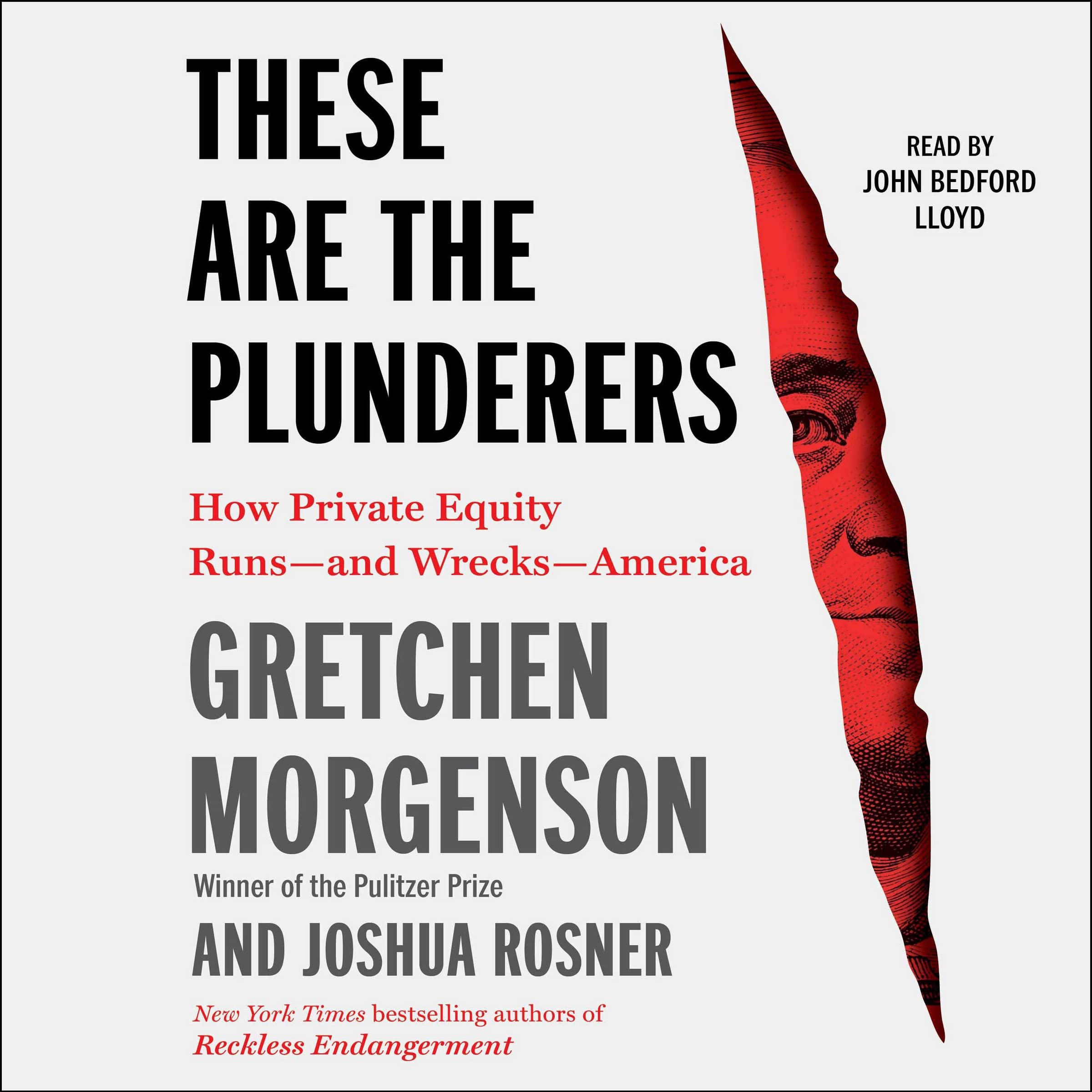 These are the Plunderers: How Private Equity Runs--and Wrecks--America