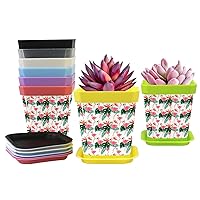 Gardening Containers Flower Pots Flamingos Nursery Pots 8-Pack Plant Pots with Pallet Planters