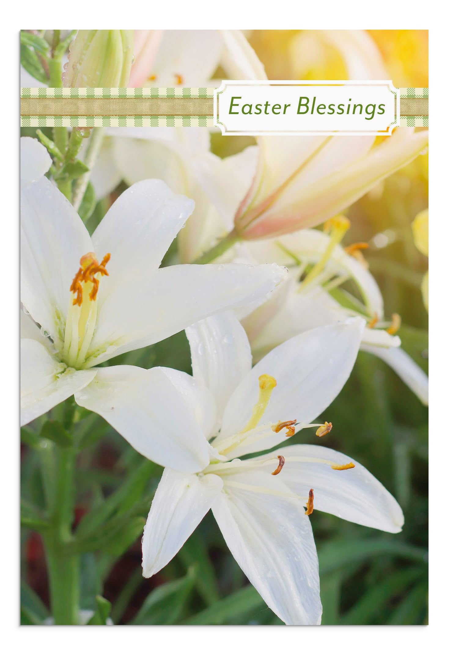 DaySpring - Easter Blessings - 8 Design Assortment with Scripture - 24 Easter Boxed Cards and Envelopes (U1617)