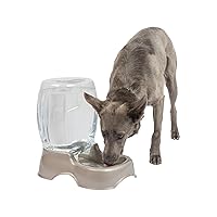 Petmate Pet Cafe Waterer Cat and Dog Water Dispenser 1.5 gallon, Pearl Tan
