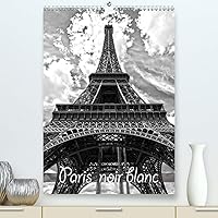 Paris noir blanc(Premium, hochwertiger DIN A2 Wandkalender 2020, Kunstdruck in Hochglanz): La capitale Paris en noir et blanc, vue d'un taxi (Calendrier mensuel, 14 Pages ) (French Edition)