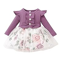 Newborn Infant Baby Girls Floral Tulle Autumn Ruffle Long Sleeve Princess Dress Clothes Young Girl Fashion