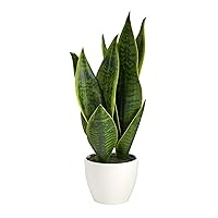 Nearly Natural 16in. Sansevieria Artificial Plant