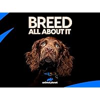 Breed All About It - Season 2