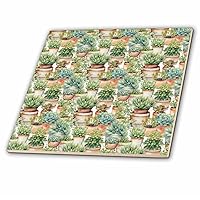 3dRose Pretty Terra Cotta Potted Catus Pattern - Tiles (ct-381658-1)