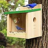 STARSWR Bird House Large Bluebird House Feeder Outdoor Mealworms Feeder for Bluebird with Viewing Window,with Easy Clean Removable Door Outside Hanging Bird Houses