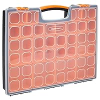 Amazon Basics 19-Removable Compartment Professional Organizer, Black, Orange, 12