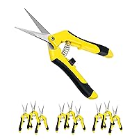 iPower 6.5 Inch Gardening Scissors Hand Pruner Pruning Shear for Gardening and Trimming, Heavy-Duty, Ultra Sharp Stainless Steel, Yellow, 10-Pack